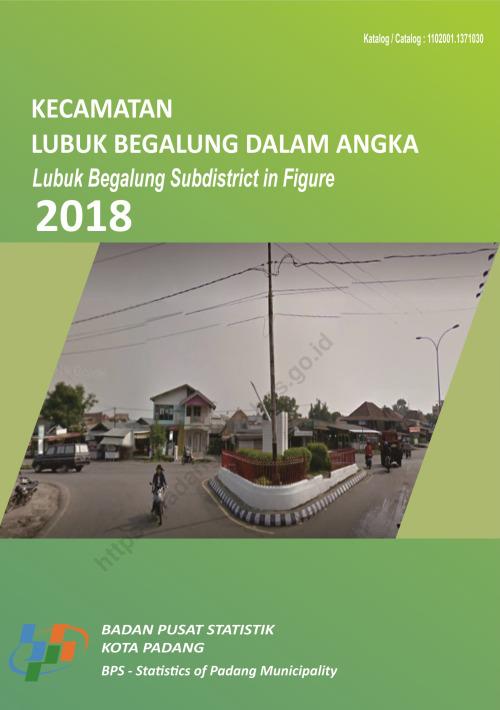 Kecamatan Lubuk Begalung Dalam Angka 2018