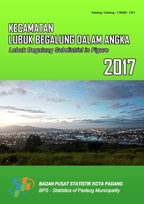 Lubuk Begalung Subdistrict in Figures 2017