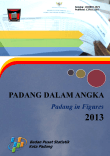 Padang Dalam Angka 2013