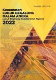 Kecamatan Lubuk Begalung Dalam Angka 2022