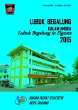 Lubuk Begalung  Dalam Angka 2015