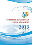 Statistik Daerah Kecamatan Lubuk Begalung 2013